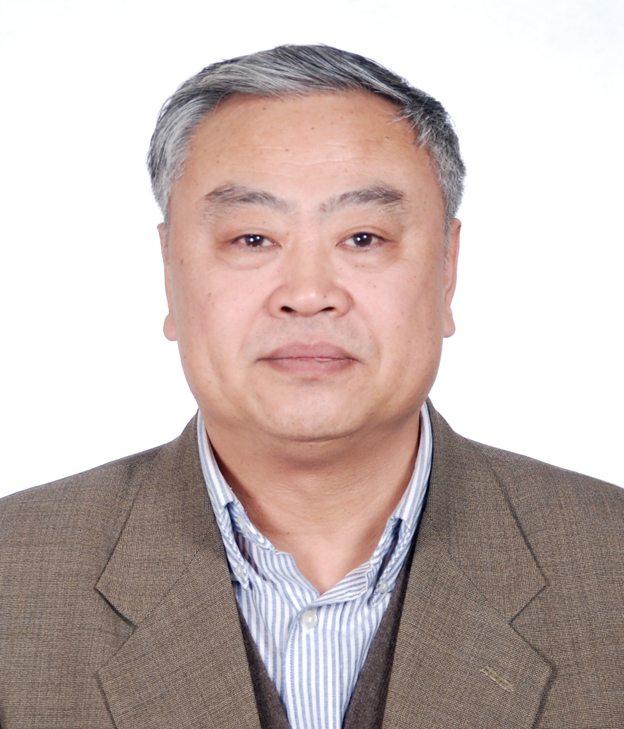 션즈화